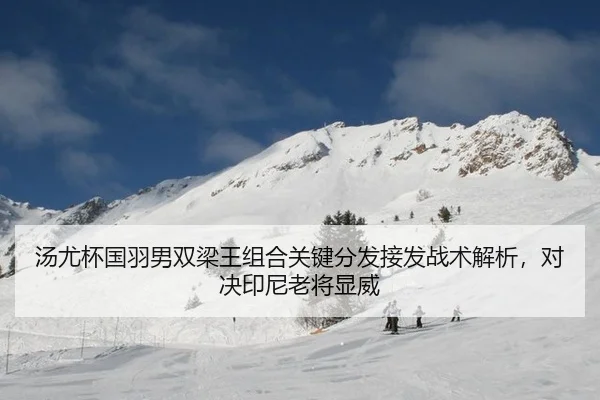 汤尤杯国羽男双梁王组合关键分发接发战术解析，对决印尼老将显威